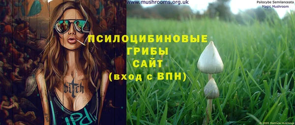 первитин Россошь