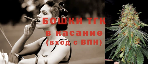гидра Волоколамск