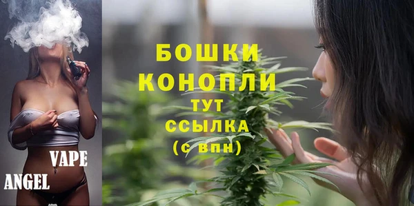 прущие грибы Володарск