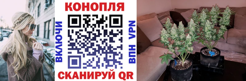 маркетплейс клад  Всеволожск  Бошки марихуана планчик  OMG рабочий сайт 